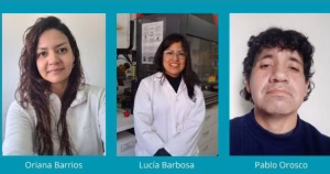Investigadores del Conicet San Luis presentan aporte innovador para el reciclaje de baterías agotadas