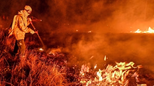 La Secretaría de Medio Ambiente trabaja en la prevención de incendios forestales