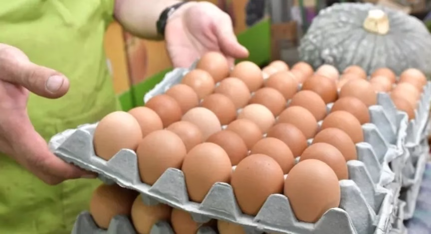 El consumo de huevo en la Argentina alcanzó la cifra histórica de 380 unidades por habitante