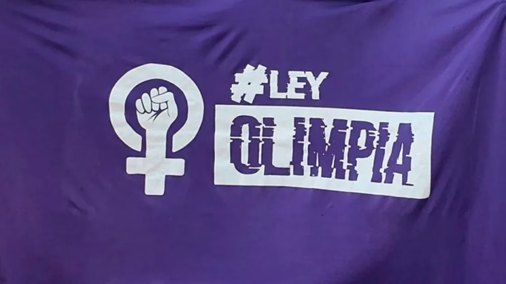 La Cámara de Diputados tratará hoy la adhesión a la Ley Nacional Olimpia - imagen destacada