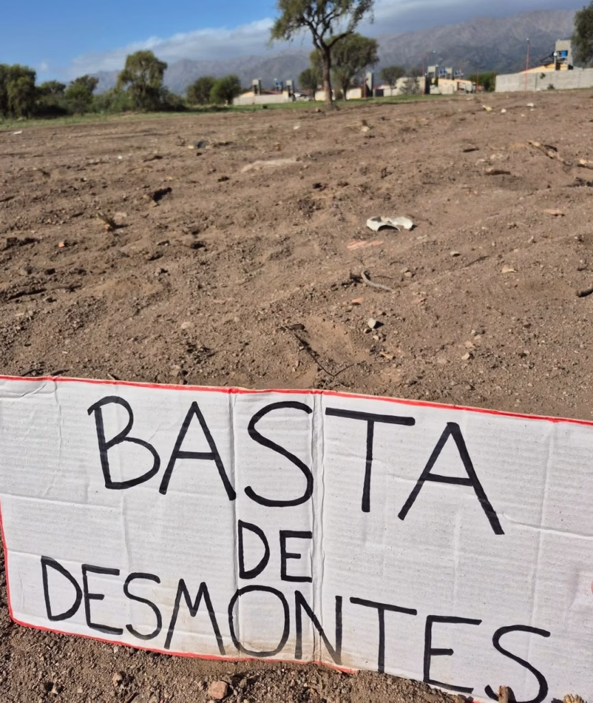 Vecinos denuncian desmonte ilegal en La Punta - imagen destacada