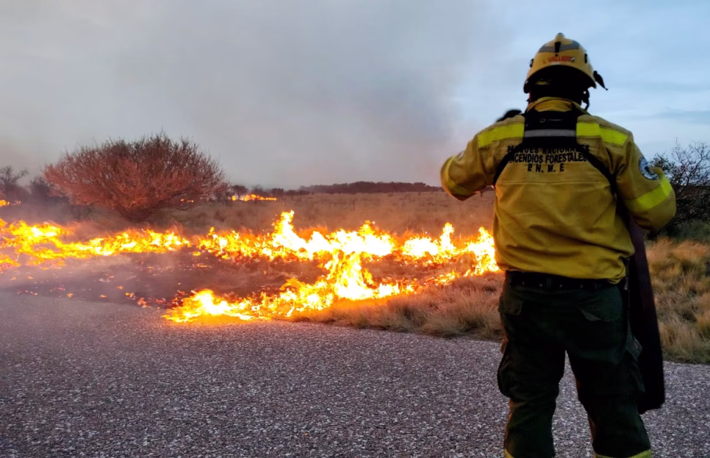 Este 2025 hubo menos incendios forestales en la provincia - imagen destacada
