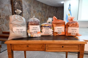 Anunciaron la modalidad Verano del Plan Alimentario Nutricional Escolar (PANE)