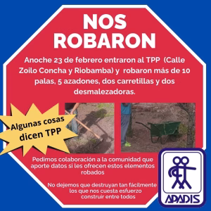 Robaron en APADIS