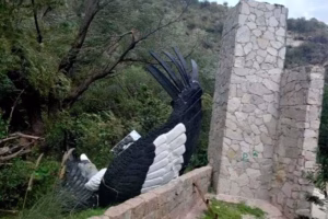 Realizaron un operativo para rescatar el cóndor de Potrero de los Funes que volvió caer por el temporal