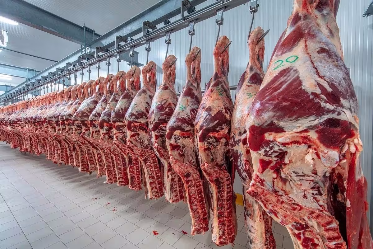 La baja del consumo de carne impacta en el empleo y agrava la crisis del sector
