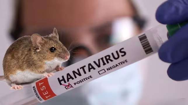Un equipo de científicos del Malbrán llegó a Ushuaia para investigar el origen del brote de hantavirus en un crucero - imagen destacada