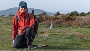 Alertan que los pingüinos papúa de Tierra del Fuego están en riesgo por el aumento de temperaturas