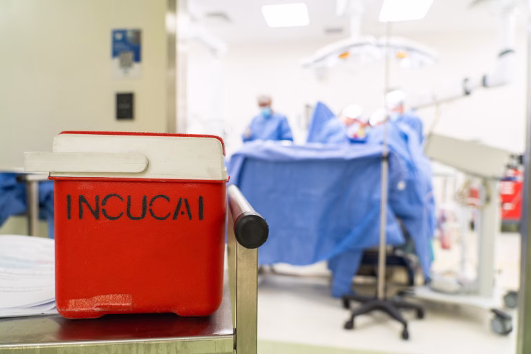 El Sistema Público de Salud realizó tres nuevos trasplantes en el Hospital ‘Carrillo’ - imagen destacada