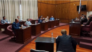 El Senado convirtió en ley el Día de Concientización sobre la Desaparición de Niños y Adolescentes