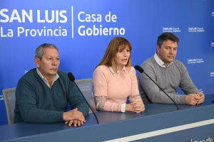 Confirmaron un aumento anticipado de enfermedades respiratorias en la provincia