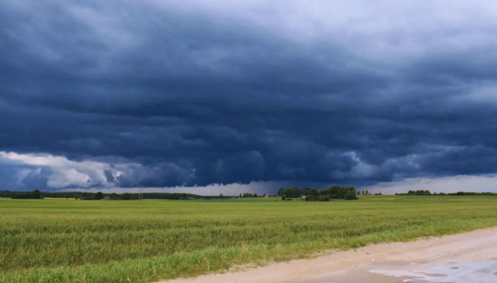 El fenómeno de El Niño vuelve al centro de la atención climática - imagen destacada