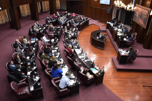 Diputados convirtió en ley la ampliación a dos años del mandato del Defensor del Pueblo