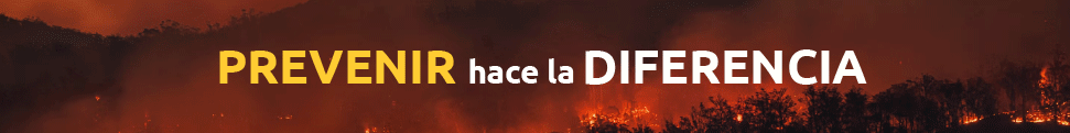 Incendios 2
