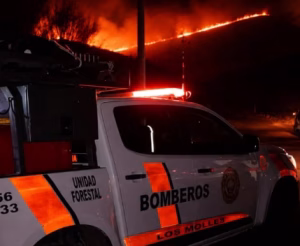 Piden ayuda para asistir a animales afectados por los incendios