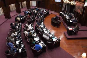 Diputados aprobó un proyecto para recuperar los gastos de salud por siniestros viales