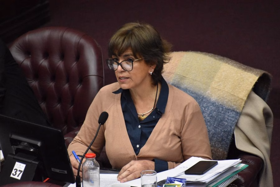 Diputados convirtió en ley el Régimen Integral de Promoción del Desarrollo Económico y del Empleo - imagen destacada