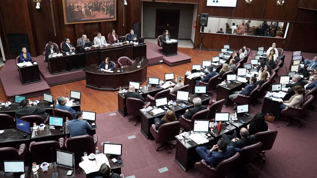 Media sanción al proyecto que busca proteger y promover a los artistas sanluiseños - imagen destacada