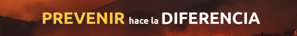 Incendios 2