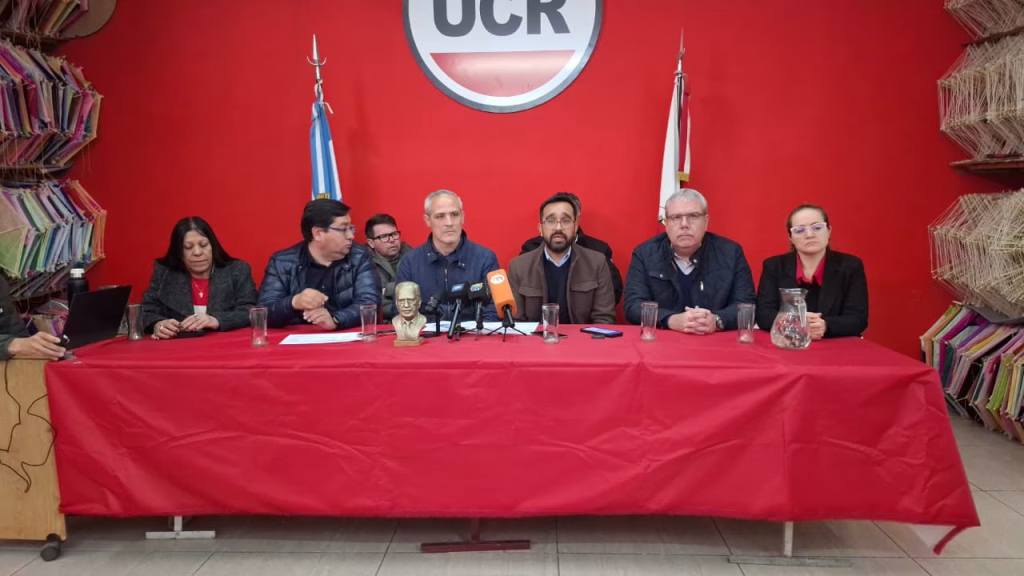 La UCR de San Luis elegirá autoridades el 25 de octubre con boleta única de papel - imagen destacada